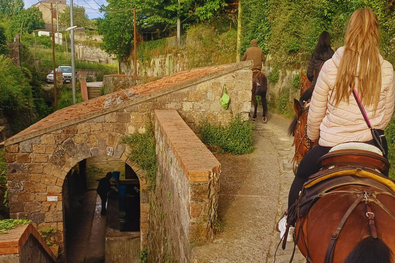 Sorrento: 3-godzinna przejażdżka konna po półwyspie Sorrento