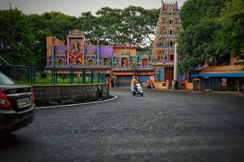Bangalore: Malleswaram Guided Day Trip with Food Tasting