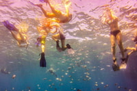 La Romana, Catalina Island Full-Day Snorkeling Tour - Housity