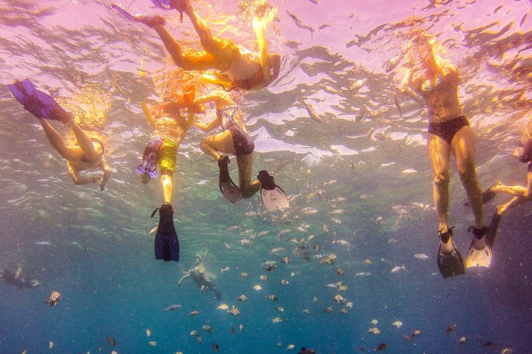 Depuis La Romana : journée de snorkeling à l’île CatalinaForfait standard