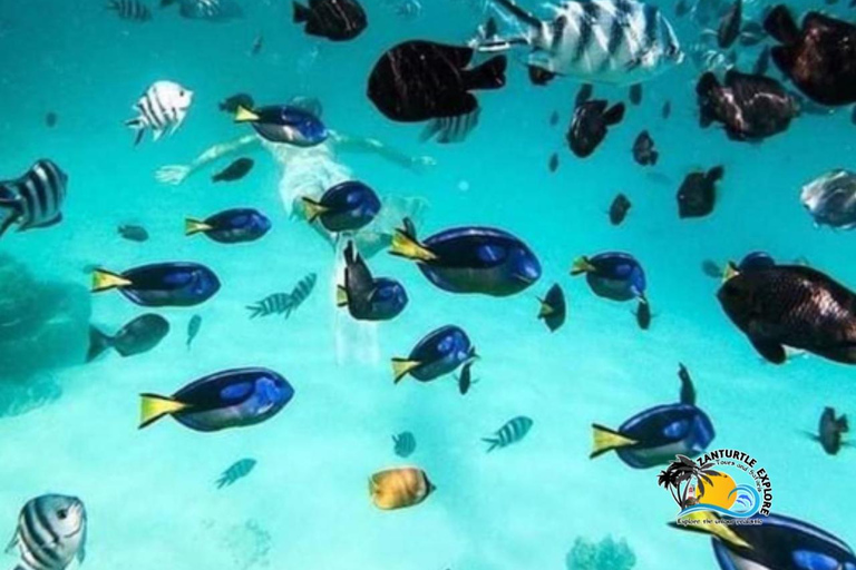 Zanzibar: prywatne nurkowanie w Błękitnej Lagunie i pływanie z rozgwiazdamiTransport do hotelu w dowolnym miejscu na Zanzibarze