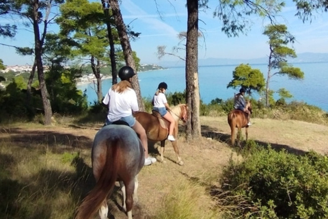 From Thessaloniki: Kallithea Beach Horseback Riding Horse Beach