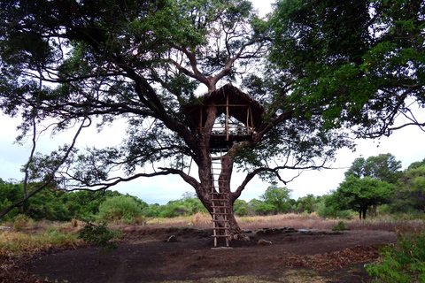 Fuga dalle stelle: Osserva le stelle da una capanna sugli alberi a Sigiriya