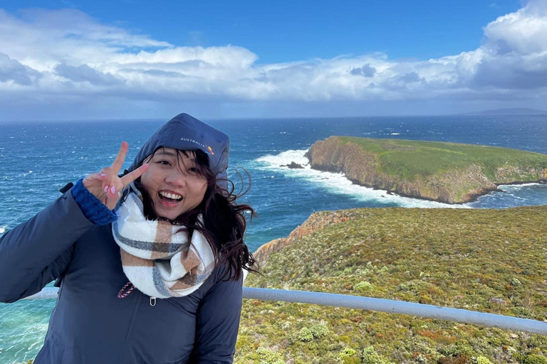 Hobart : Aventure sur l'île de Bruny avec déjeuner et visite du phare