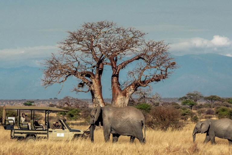 Safari de 13 días por el Kilimanjaro, Serengeti, Ngorongoro y Tarangire