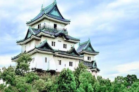 Wakayama: Private Tour to Nachi Falls & Mount Koya