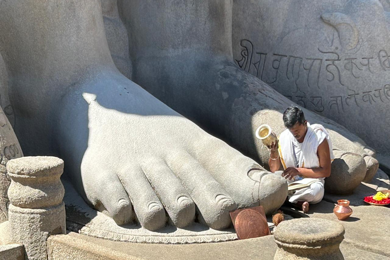 班加罗尔：贝鲁尔/什拉万贝戈拉/咖啡种植园一日游班加罗尔：贝鲁尔/沙瓦纳贝戈拉/咖啡种植园一日游