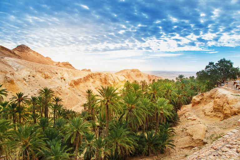 From Djerba: 2-Day Tozeur & Sahara Tour , Oasis & Star Wars
