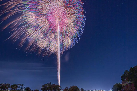 Oyama Fireworks Festival 2026: Day Trip from Tokyo 13:00-14:00 Pick up From Hotel