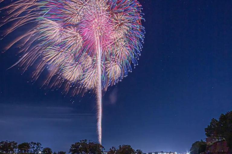 Oyama Fireworks Festival 2026: Day Trip from Tokyo 13:00-14:00 Pick up From Hotel