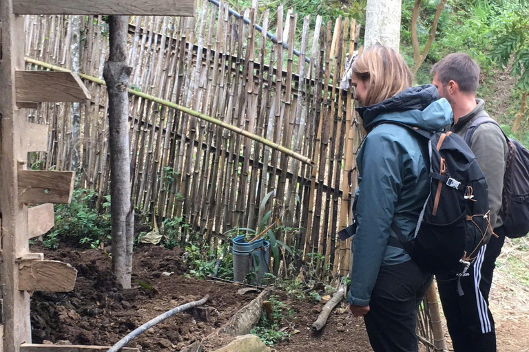 Von Ha Noi aus: 3-tägige Cao Bang Loop Tour Besuch eines lokalen Dorfes