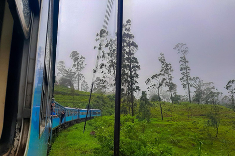 Ella: Private Sunrise Hike, Tea Estate, and Waterfall Tour
