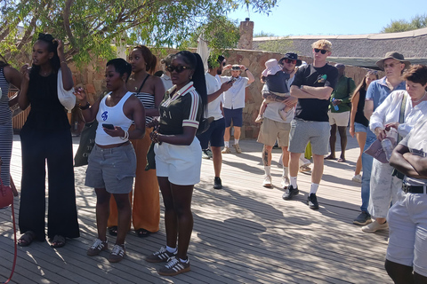 Cape Town: Aquila Game Reserve Safari with Buffet & Pickup