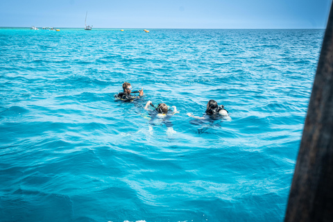 Zanzíbar: 2 días de buceo, cuatro inmersionesSin traslado al hotel