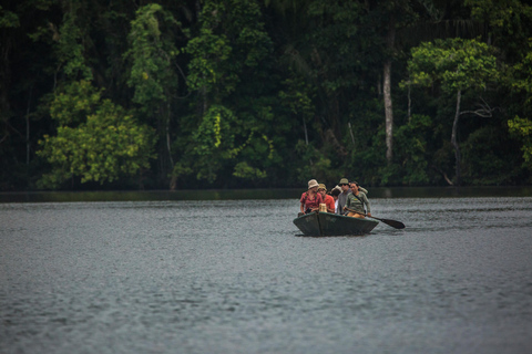 Tambopata Macaw claylick e lago andoval 3 dias/2 noites