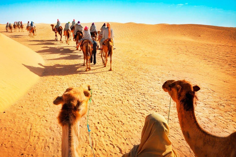 Doha: Safari privado por el desierto con paseo en camello y Sandboarding