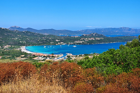 Costa Smeralda: Quad tour with views, the sea and adrenaline. Basic Quad Tour (2 people per quad)