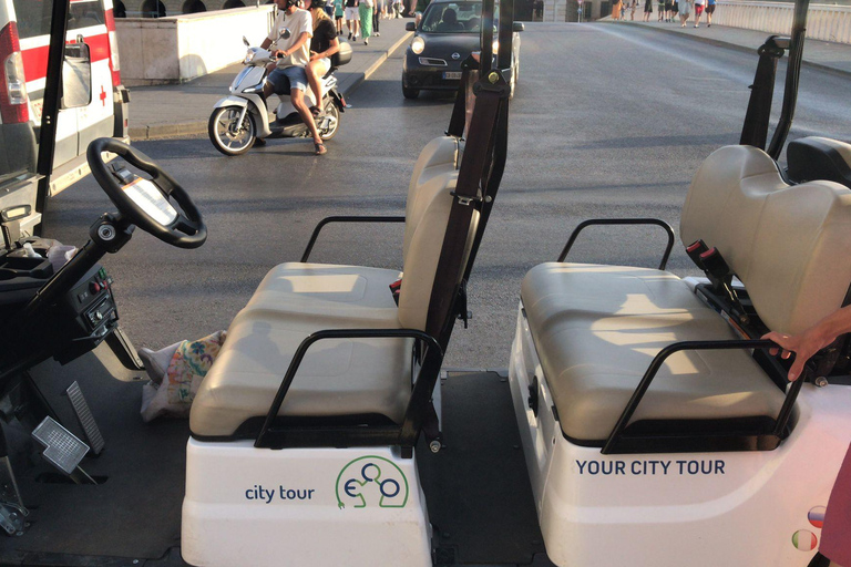 Pisa: Beyond the Tower Round-trip Golf Cart Tour Pisa: Beyond the Tower (1h round-trip tour)