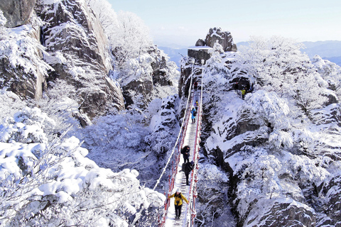 Jeonju Hanok Village and Daedunsan Serenity Nature Tour Departing from Dongdaemun H&C Park Station Exit 10
