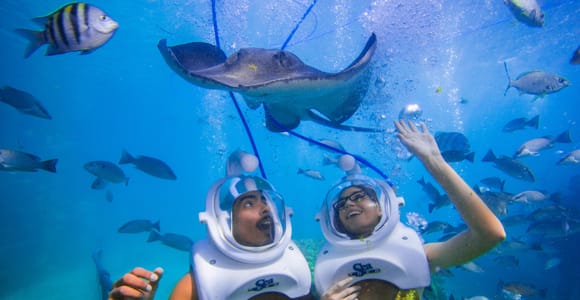 Visitors wearing Sea Trek helmets underwater