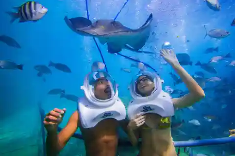 Tenerife: Undervandsvandring – Sea Trek-oplevelse