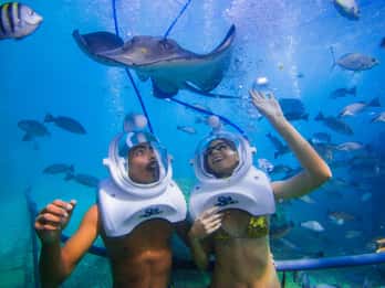 Тенерифе: подводная прогулка — Sea Trek Experience