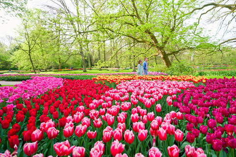Keukenhof Entry Ticket and Canal Cruise (no transfer) Keukenhof Entry Ticket + Amsterdam City Center Canal Cruise
