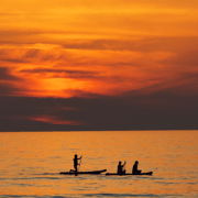 Jeju Aewol Seaside Retreat – SUP Adventure