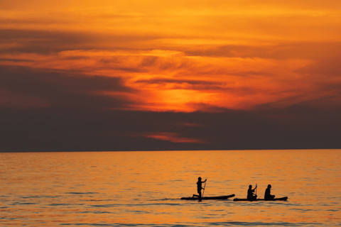 Jeju Aewol Seaside Retreat – SUP Adventure Golden Hour SUP Experience (2hrs. Rental)
