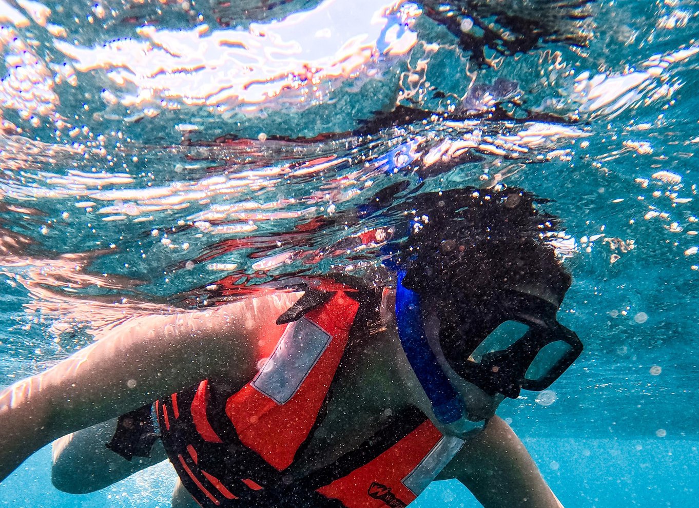 Tulum: 2-timers snorkling på to steder af Tulums rev