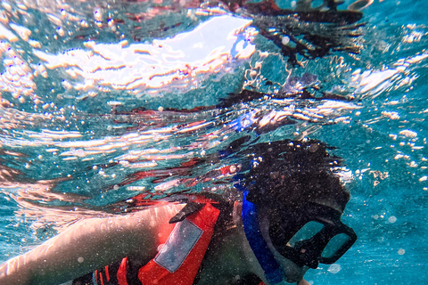 Tulum: Snorkeling at Paradise Reef