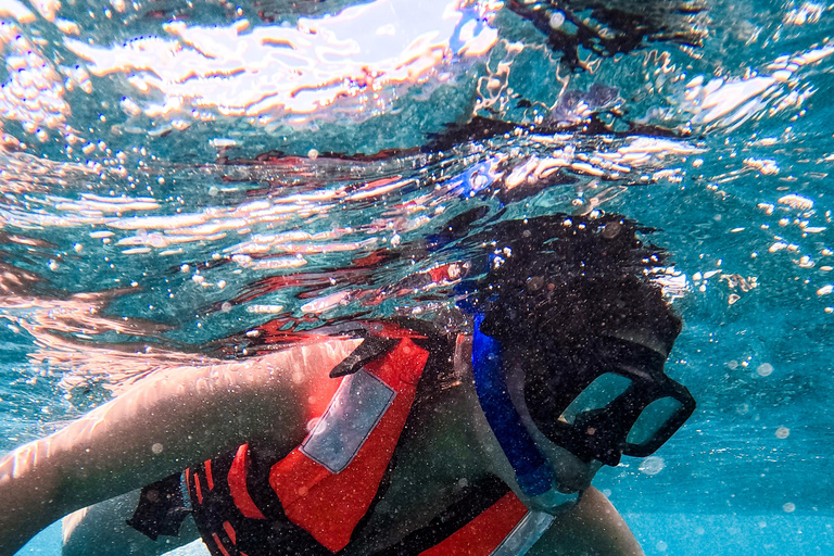 Tulum: Snorkeling at Paradise Reef