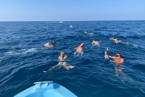 Puerto Escondido: Bootstour zu Delfinen und MeerestierenPrivate Tour