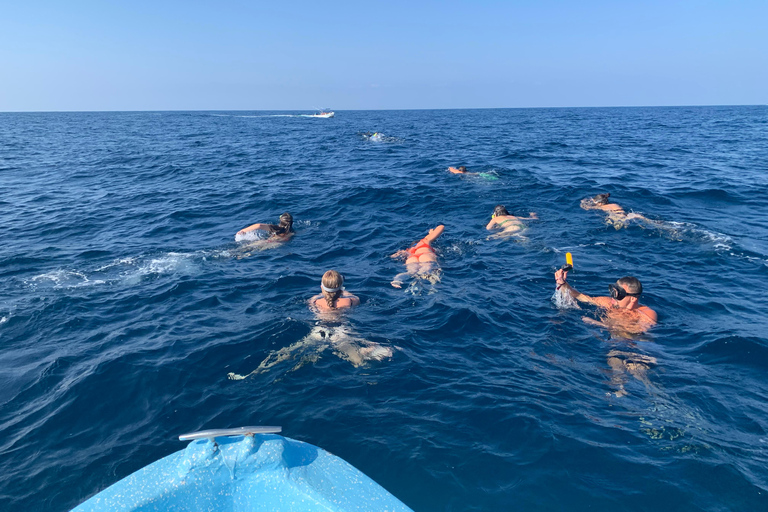 Puerto Escondido: Bootstour zu Delfinen und MeerestierenPrivate Tour