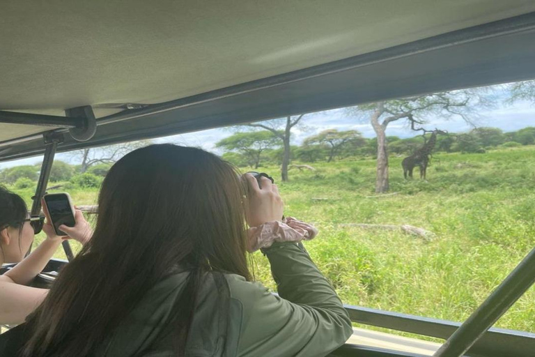 Safári de 5 dias em Tarangire, Serengeti e Ngorongoro