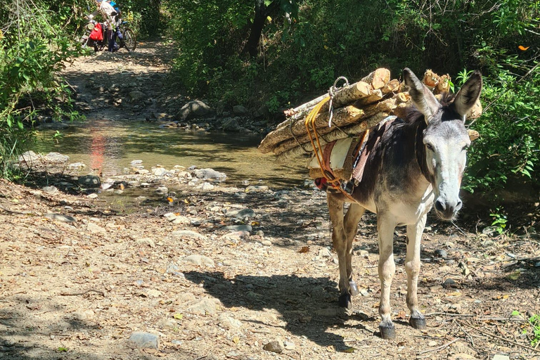 Oaxaca: Bike Tour with Visit to Monkey Tree & Bread Maker