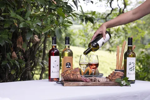 Château Arton Vineyard Tour and Tasting