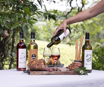 Turul și degustarea podgoriei Château Arton