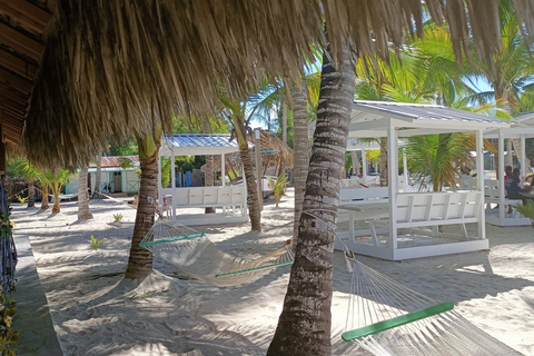 Privato: La Romana, snorkeling a Catalina e spiaggiaPrivato: La Romana, snorkeling a Catalina e gita in spiaggia
