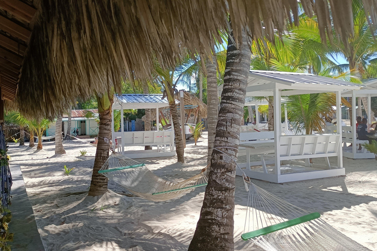 Privato: La Romana, snorkeling a Catalina e spiaggiaPrivato: La Romana, snorkeling a Catalina e gita in spiaggia