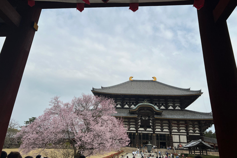 Z Osaki/Kioto: prywatna jednodniowa wycieczka Kyoto-NaraZ Osaki/Kioto: 1-dniowa prywatna wycieczka Kioto~Nara