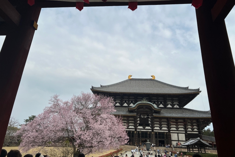 From Osaka/Kyoto:Private Kyoto-Nara Day Tour From Osaka/Kyoto:Private Kyoto~Nara Day Trip Tour
