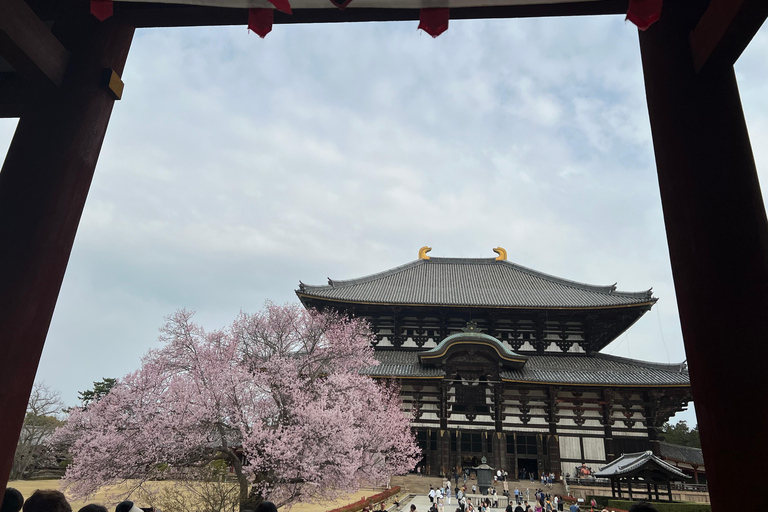 De Osaka/Kyoto: Tour particular de um dia por Kyoto-NaraDe Osaka/Kyoto:Excursão particular de 1 dia a Kyoto~Nara