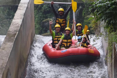 Ubud : Rice Teracces, Gorila Face ATV & RaftingPour les voyageurs en solo qui réservent cette