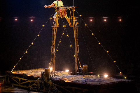 Bilbao: Ticket to Cirque du Soleil’s Kurios