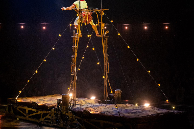 Bilbao: Ticket to Cirque du Soleil’s Kurios