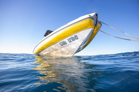 Portofino: snorkeling tour by dinghy from Genoa Portofino: shared snorkeling tour by dinghy from Genoa