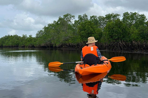 ZANZIBAR: Mangrove Kayaking and Turtle Swim at Salaam Cave PRIVATE TOUR INCLUDES TRANSFER