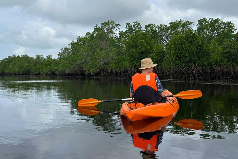 ZANZIBAR: Mangrove Kayaking and Turtle Swim at Salaam Cave PRIVATE TOUR INCLUDES TRANSFER