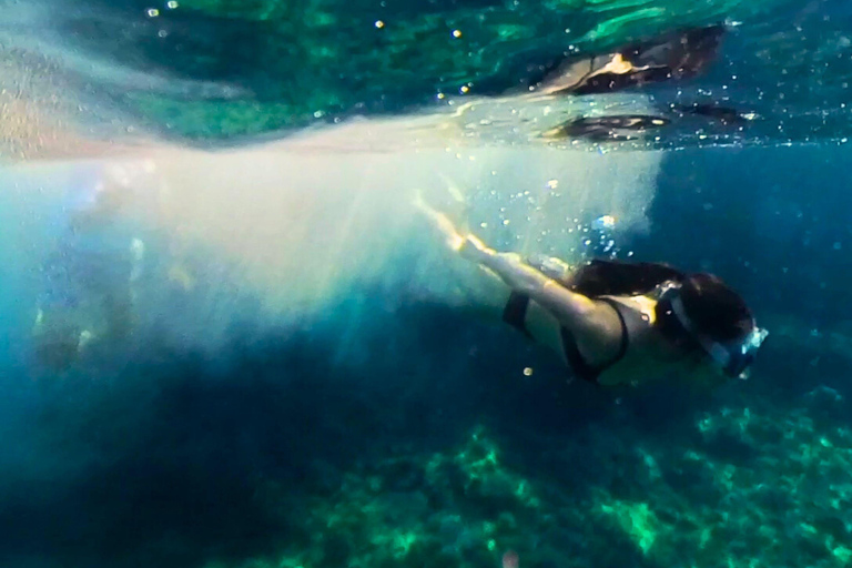 Alcudia: Private boat tour to the lighthouse island
